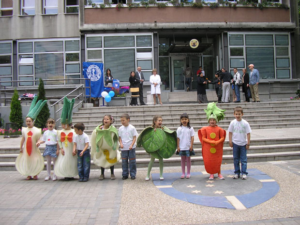 Само на Звездари више рођених него умрлих, у Сурчину без развода